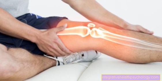 Knee pain on the inside