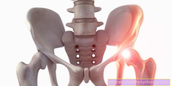 Therapy of femoral head necrosis