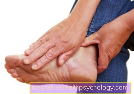 Terapia del hallux rigidus