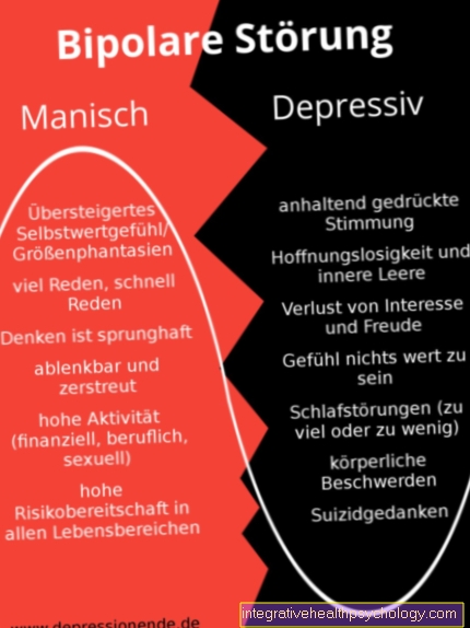 Terapi af en mani