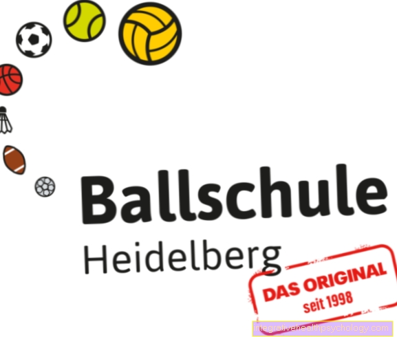 Escuela de pelota de Heidelberg