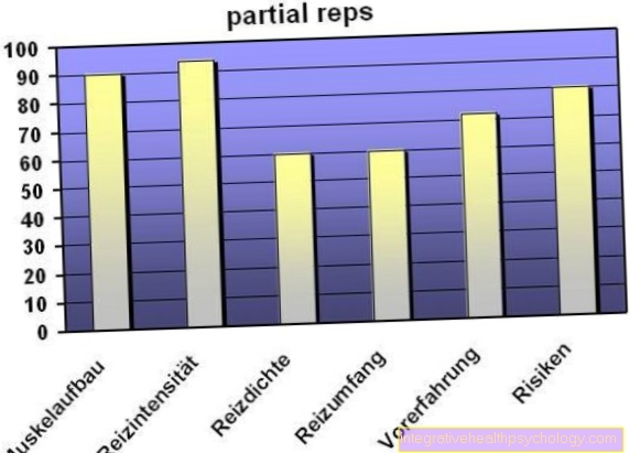 Partial Reps