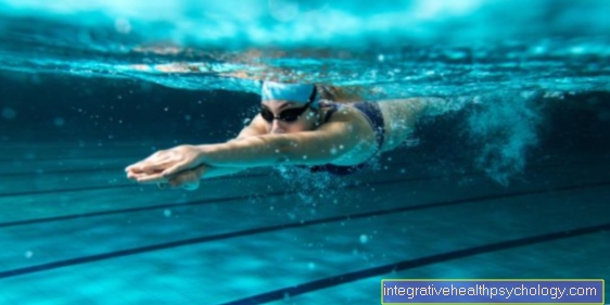 Luật vật lý trong bơi lội